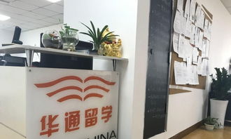 綿陽(yáng)華通留學(xué) 通往美國(guó)名校的專業(yè)橋梁與全面信息指南